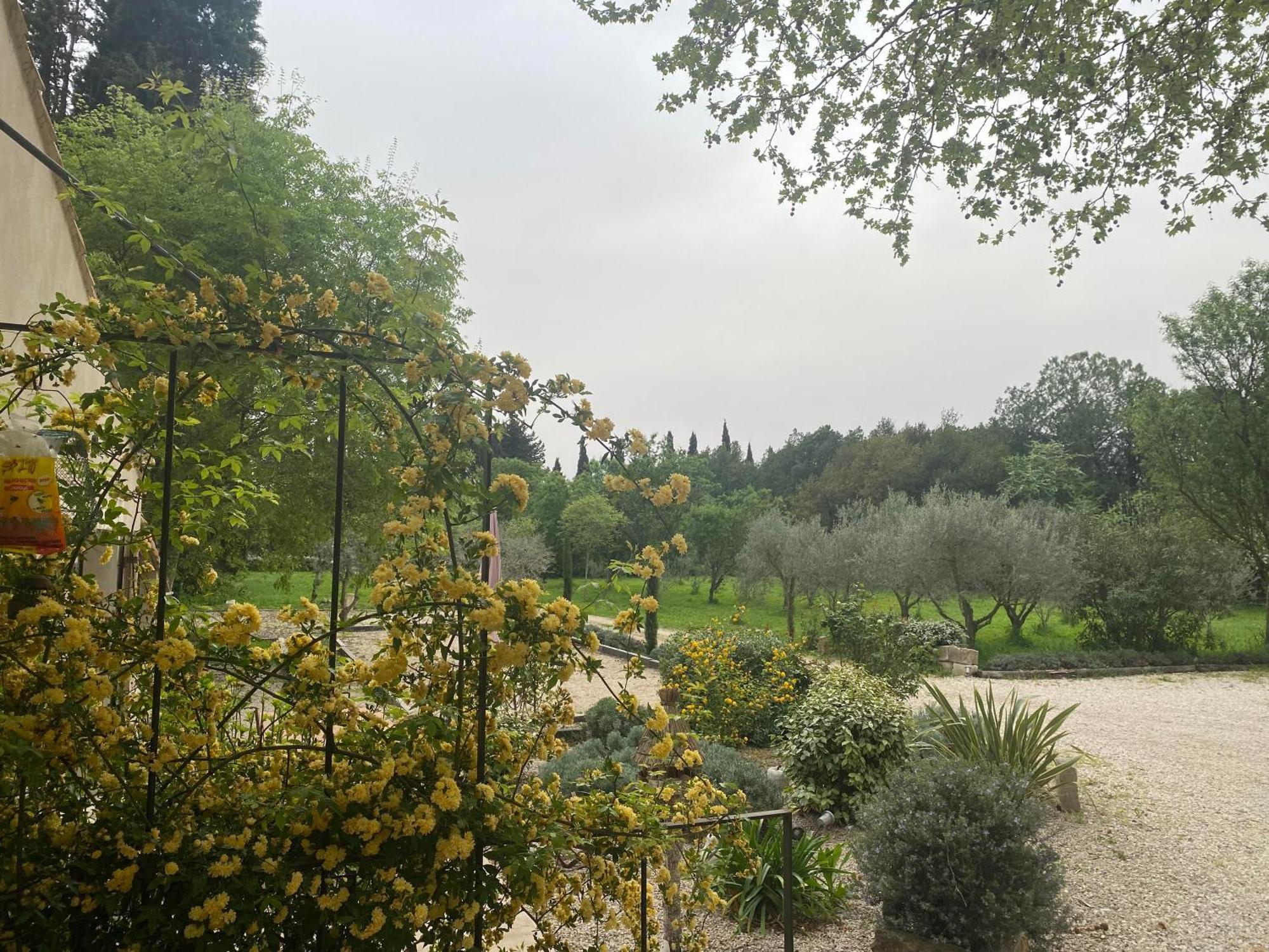 Gite Du Mas De La Finiere ,Avec Spa Interieur Chateaurenard Luaran gambar